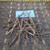 Kulit Batang Kersen (Muntingia calabura) Kersen Bark Dried, 780 Grams