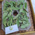 Cocor Bebek (Kalanchoe pinnata) Cathedral Bells, 780 Grams