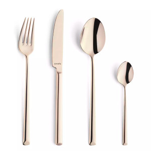 Amefa Premiere Steakmes 1170 Metropole 22.5 cm 18/10 13/0 Champagne