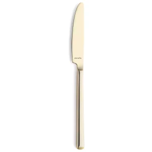 Amefa Premiere Couteau à dessert 1170 « Metropole » 20,5 cm 18/10 13/0 Champagne