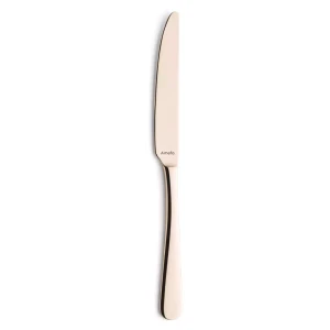 Amefa Tafelmes 1410 Austin 23.6 cm 18/0 13/0 Champagne