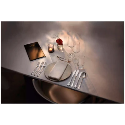 Amefa Table Knife 7204 Elegance 21.5 cm 18/10 13/0 Silver 