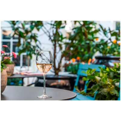 Royal Leerdam Wijnglas Plaza 1002289 44 cl