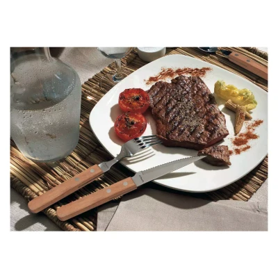 Amefa Steakmes 7000 Steak 21 cm Kunststof-rvs Zilver