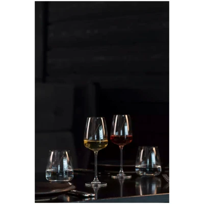 Royal Leerdam Wine Glass Experts Collection 1001601 29 cl