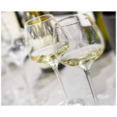 Royal Leerdam Wine Glass Experts Collection 1001710 55 cl