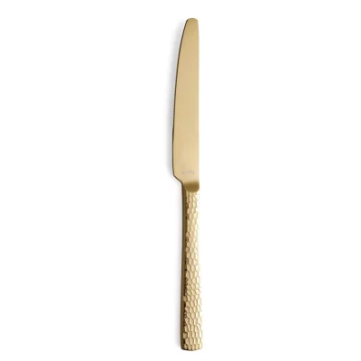 Couteau de table Amefa 3319 « Felicity » 22,5 cm 18/0 13/0 Champagne