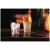 Duralex Tumbler Prisme 1032A 22 cl Hardglas 
