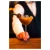 Barprofessional Bird Cocktail Glass, 15 cl, Borosilicate