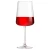 Onis Verre à vin Niveau 1019056 51 cl