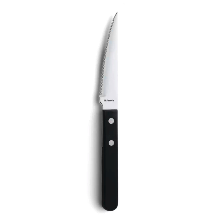 Amefa Steakmes 7000 Steak 21 cm Kunststof-rvs Zilver