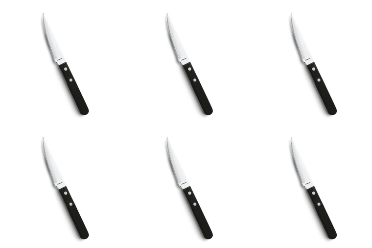 Amefa Steakmes 7000 Steak 21 cm Kunststof-rvs (hv) Amefa Steakmes 7000 Steak 21 cm Kunststof-rvs (hv)