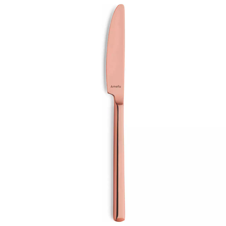 Amefa Premiere Dessertmes 1170 Metropole 20.5 cm 18/10 13/0 Koper