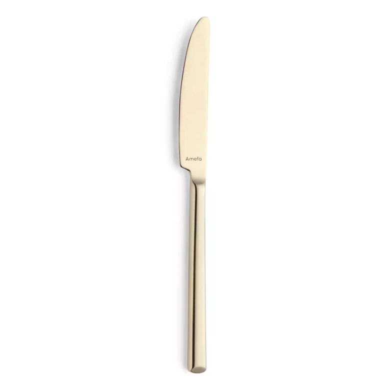 Amefa Premiere Tafelmes 1170 Metropole 22.5 cm 18/10 13/0 Champagne