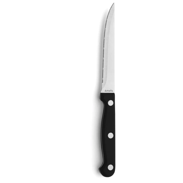 Amefa Steakmes 7025 Steak 21.7 cm Kunststof-rvs Zilver