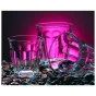 Duralex  Picardie 25 cl, transparent 