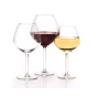 Royal Leerdam Wijnglas Carre 1001579 53 cl