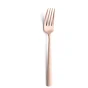 Amefa Dinner Fork 1924 Ventura .1 cm 18/10 Copper 