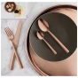 Amefa Dinner Fork 1924 Ventura .1 cm 18/10 Copper 
