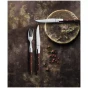 Amefa Steakgabel 2520 Royal Steak 20.2 cm Holz-Edelstahl Silber 