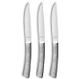 Couteau à steak Amefa 3319 « Felicity » XL 22 cm 18/0 13/0 Argent