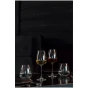 Royal Leerdam Wine Glass Experts Collection 1001710 55 cl
