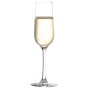 Stölzle Lausitz Champagnerflöte Revolution cl