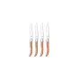 Amefa Steakmesset fijne kartel hout Royal Steak 22.5 cm 4-delig