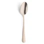 Cuillère à dessert Amefa 1410 « Austin » 18,4 cm 18/0 Champagne 