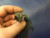 1949 Cadillac Sedan RH PS Front Door Lock Cylinder No Key Used Original