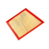 FLEETGUARD AF4166 PANEL AIR FILTER Original FLEETGUARD OEM part