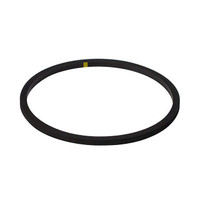 CUMMINS 4945701 - SEAL RECTANGULAR RING - Image 1