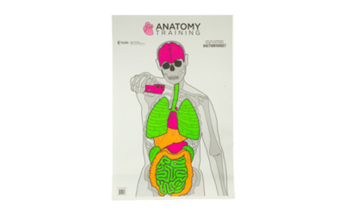 ACTGS-ANATOMY-100