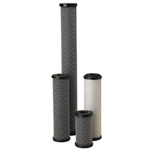 Pentek C Series Dual Purpose Powdered-GAC