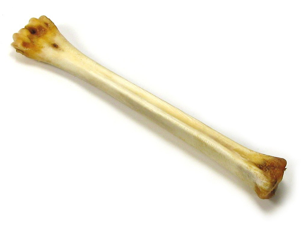 Abbeyhorn Men's DEERBONE - Polishing Deer Bone - The Shoe Mart