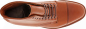 Alden Shoes Men's Straight Tip Boot 3914 Burnished Tan - Top