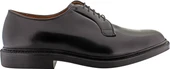 Alden Men's 9909 - Plain Toe Blucher - Black Calfskin - Image 2