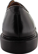 Alden Men's 9909 - Plain Toe Blucher - Black Calfskin - Image 5