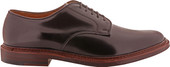 Alden Shoes Men's Plain Toe Blucher Flex Welt M6405 Color 8-Antique - Outer Side