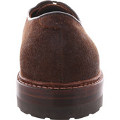 Alden Men's D1409C Plain Toe Blucher Tobacco Reverse Chamois - Back