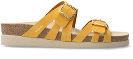 Ochre Sandalbuck