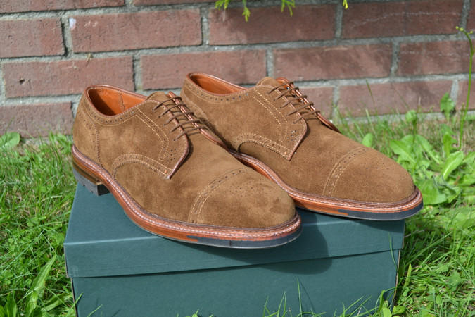 New Alden Snuff Suede Shoe