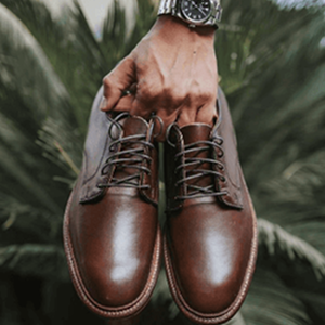 Hand holding a pair of brown Alden dress shoes with a natural background.