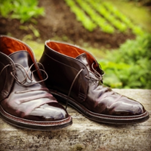 Shiny dark brown Alden boots on a wooden ledge with greenery in the background.