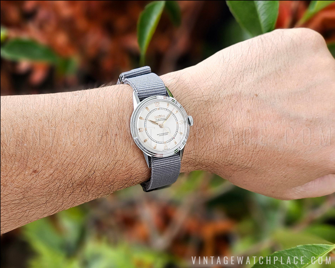 【1950s】HERODIA OH済 ヴィンテージ腕時計 New Old Stock 50's Herodia mechanical vintage watch, military