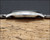 New Old Stock Mido quartz vintage all stainless steel