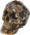 Cracked Brown Skull 