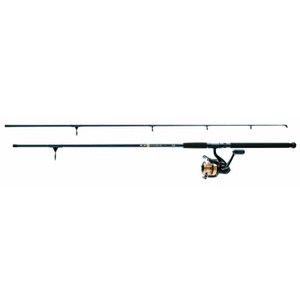 Daiwa D-Wave Saltwater PMC DW50F1002M 5000 Reel 10ft 2pc Rod Daiwa D-Wave Saltwater PMC DW50F1002M 5000 Reel 10ft 2pc Rod