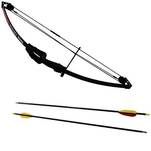 Daisy Youth Compound Bow Left or Right Hand