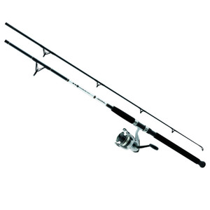 Daiwa D-Wave Saltwater 2-Piece Spinning Combo 8ft Daiwa D-Wave Saltwater 2-Piece Spinning Combo 8ft